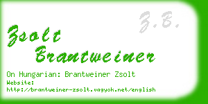 zsolt brantweiner business card